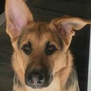 Meet your Posher, Thomas